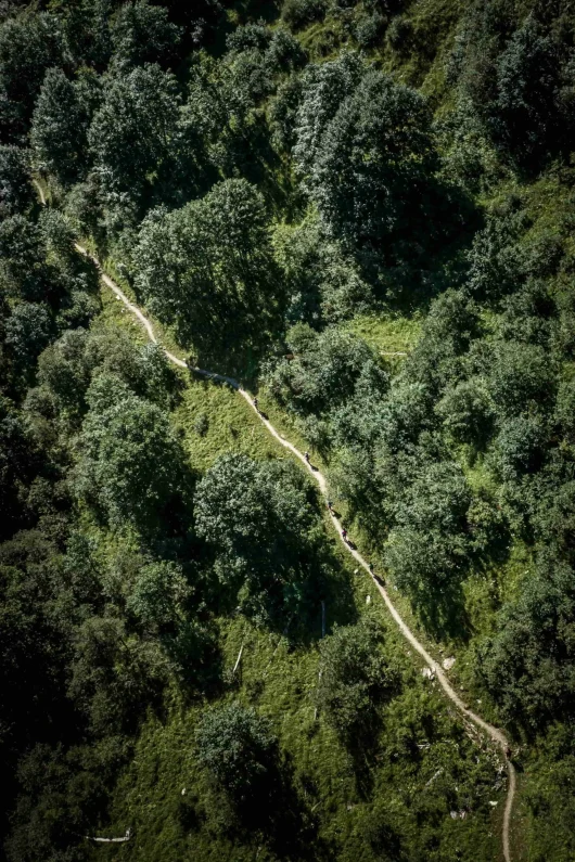 Le Trail des Hauts-Forts : un incontournable pour les amateurs de trail