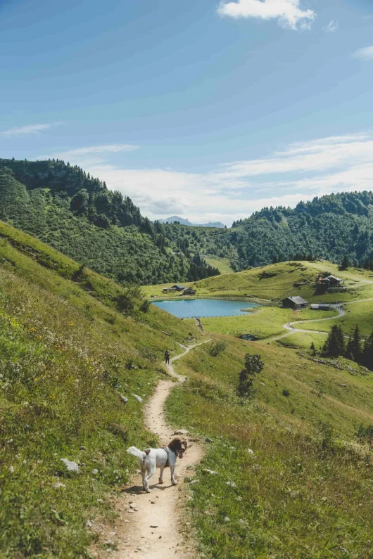 Les lacs à ne pas manquer pendant votre séjour