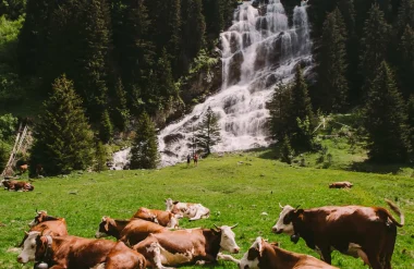 À la fraîche : les plus belles cascades accessibles à pied