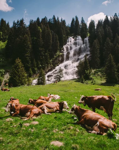 À la fraîche : les plus belles cascades accessibles à pied