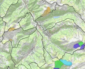 Chien de protection – Vallée d’Aulps 2025