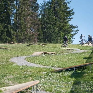 Bikepark de Morzine-Pleney : la porte d&rsquo;entrée du plus grand domaine VTT d&rsquo;Europe