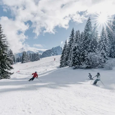 Ski Alpin