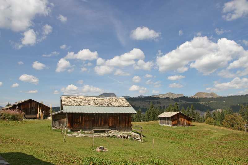 Workshop "Milk and the mountain pasture"