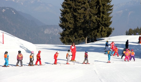 Лыжные школы