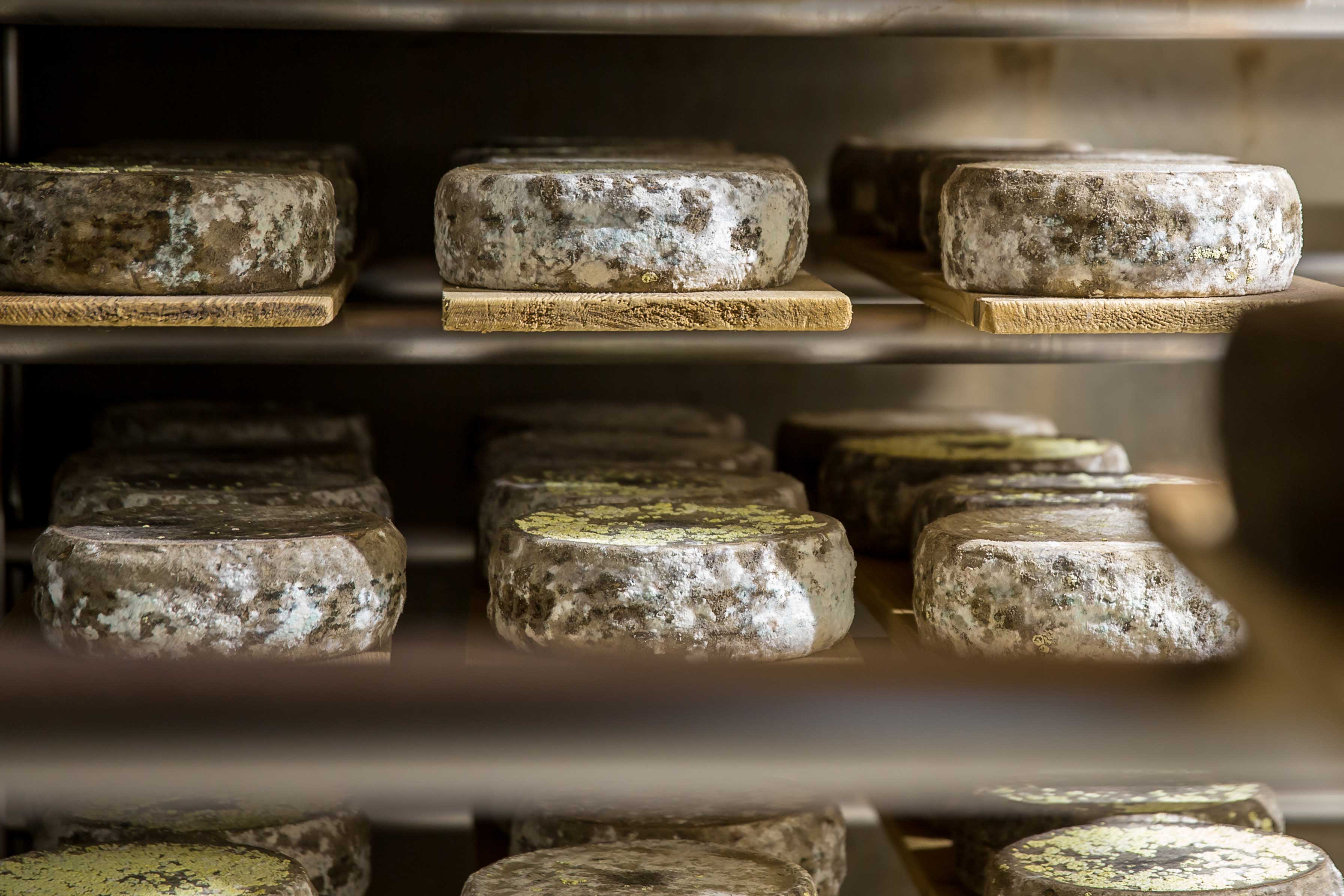 local cheese morzine  - © J Cutler Photography