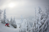 Free Ride Mint Snowboard Morzine